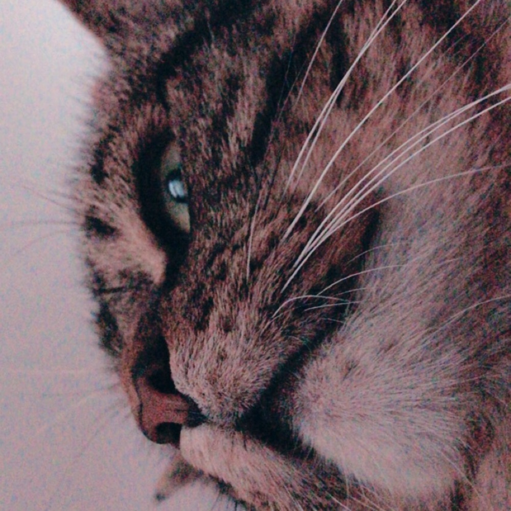 Meet your Posher, Alberto